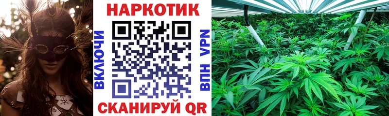 Купить наркотик аптеки Алейск Конопля  Меф мяу мяу  Альфа ПВП  Гашиш 