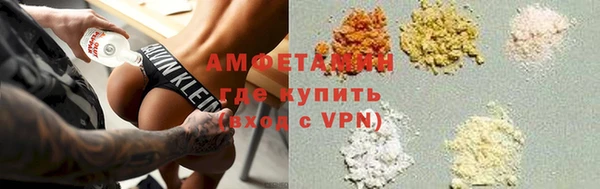сатива Нестеровская