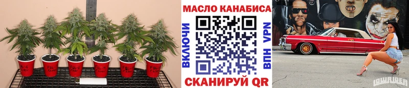 Дистиллят ТГК концентрат  хочу наркоту  Алейск 