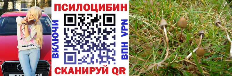 наркотики  Алейск  Галлюциногенные грибы MAGIC MUSHROOMS 
